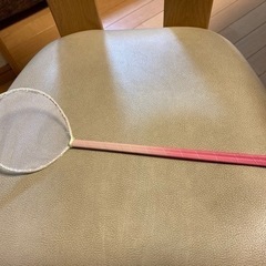 メダカのタモ