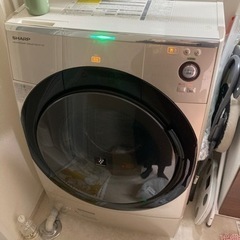 家電 生活家電 洗濯機