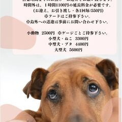 ペットホテル 一時預り 愛媛 しまなみ海道