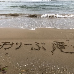 【大阪市内】家事・見守り・話し相手 : 優しさのある方お越しください。の画像