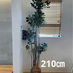 【受け渡し予定者決定】【新品未使用】観葉植物　フェイクグリーン　...
