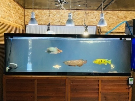 水槽　1800  900  600  
発送は不可です