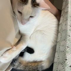 祝＊ずっとのおうちが決まりました♪センター分けちょびっとヘアーと...