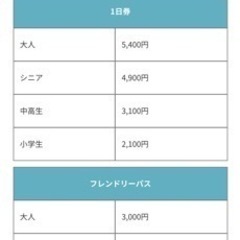 チケット テーマパーク/遊園地の画像