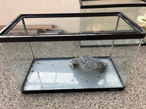 水槽