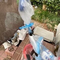 ミッキーマウス かじとりトライクの画像