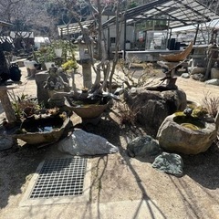 花器　メダカ鉢　睡蓮鉢の画像