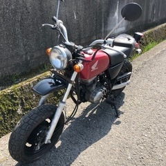 ホンダ　エイプ50   書類付レストアベース車の画像