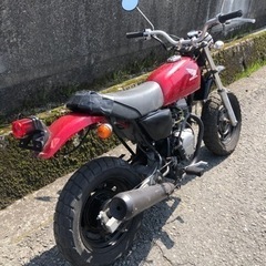 ホンダ　エイプ50   書類付レストアベース車の画像