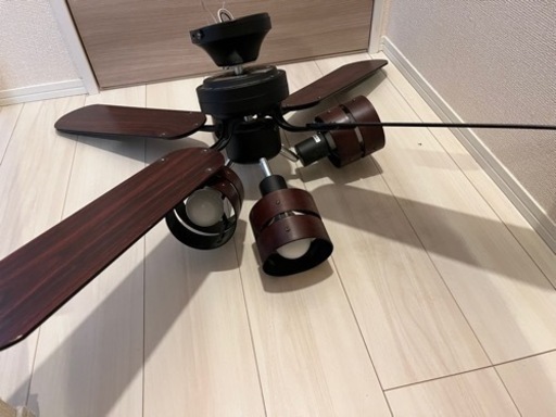 電気