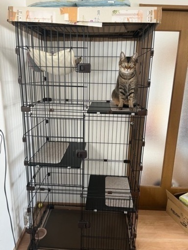 猫用ケージ３段