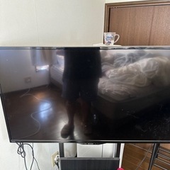 家電 テレビ 液晶テレビ