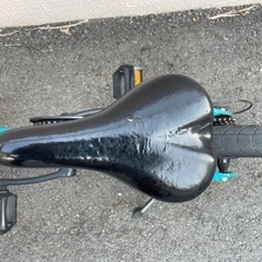 MARINマリン　20インチ　　の画像