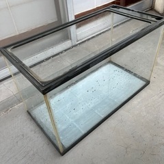 60センチ水槽