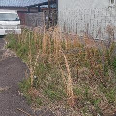 敷地の雑草抜きを請負っていただける方