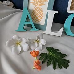 ハワイアン小物の画像
