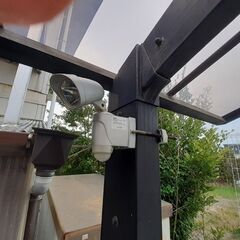 2個セット　乾電池式  人感センサーライト アイリスオーヤマ 