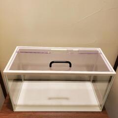 水槽30リットル&水槽台 GEXの画像
