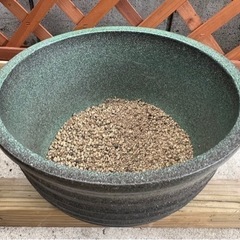 睡蓮鉢　メダカ飼育に　玄関先などに良いサイズです