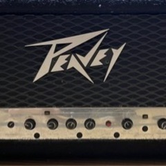 ベースアンプ PEAVEY classic400 400w
  