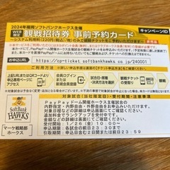 ホークスオープン戦観戦招待券