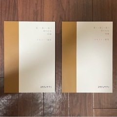 スタディサプリ　スタサプテキスト　現代社会　大学受験