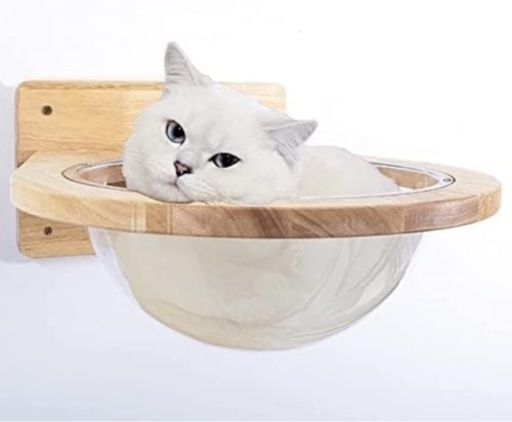 猫 木製壁掛け ハンモック 石膏ボードアンカー付き キャットウォーク 透明