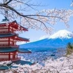 友達になりましょう。お散歩、ランチをしながら交流しましょう。 - 千代田区