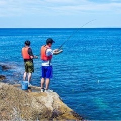 友達になりましょう。お散歩、ランチをしながら交流しましょう。 - 友達