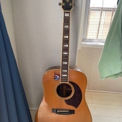 楽器 弦楽器、ギター