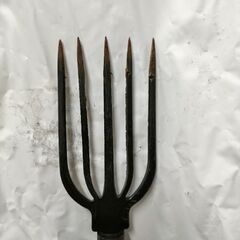 やり　パイプヤス　五又　魚突き棒　の画像