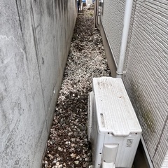 砂利お譲りします。の画像