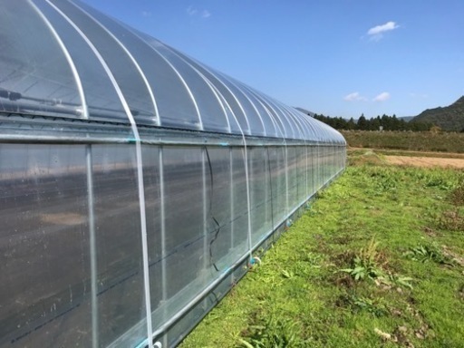 ビニールハウス／パイプハウス1棟
