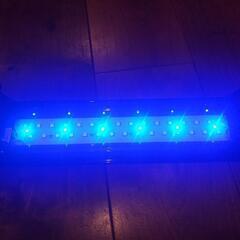 30㎝水槽用LEDライトの画像