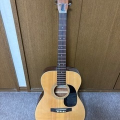 楽器 弦楽器、ギター