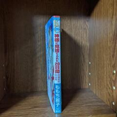 ももち麗子