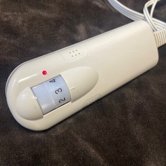 電気毛布の画像