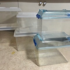 取引中！昆虫飼育/コバエシャッター,飼育カゴ