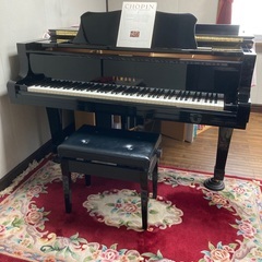 弾きたいを叶えたい！！ピアノレッスン♬の画像
