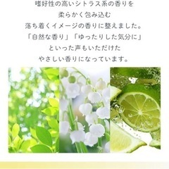 ①FITS CONDITIONINGフレグランススプレー シトラス　60mlの画像