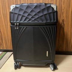 【決まりました】キャリーケース
