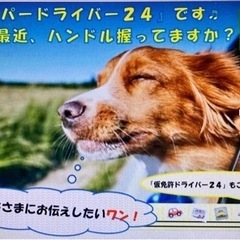 ⭐️ 🚙　【人気です！コース】  90分　4回　32000円(税...