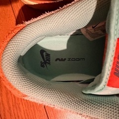 Nike SB Dunk Low Pro PRM "Orange and Emerald Rise"の画像