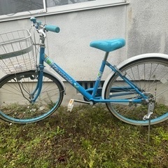 決定しました