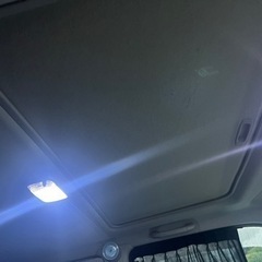 NCP31 bBの画像