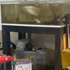 オーバーフロー水槽 その他の中古が安い！激安で譲ります・無料
