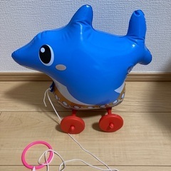 イルカのお散歩コロコロの画像
