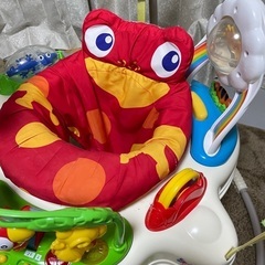 ジャンパルー レインフォレストの画像