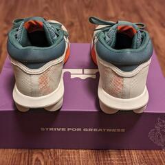 値下げしました。バッシュ【ナイキ レブロン ウィットネス 8 EP FB2237-101】の画像