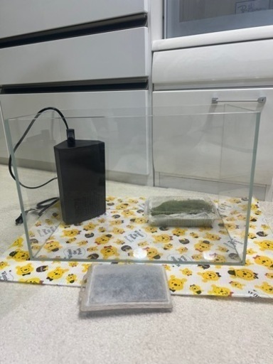 ADA 水槽 セット すぐに使えます ろ過装置 ろ材 水草付き
